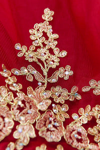Royal Ruby Dress PRE-ORDER